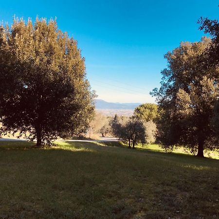 ラストラ・ア・シーニャLa Residenza Dei Piaceri Perduti- Le Volteアパートメント エクステリア 写真